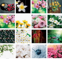 Фотопечать цветы на шкафы, прихожие, кухни