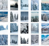 Фотопечать зима на шкафы, прихожие, кухни